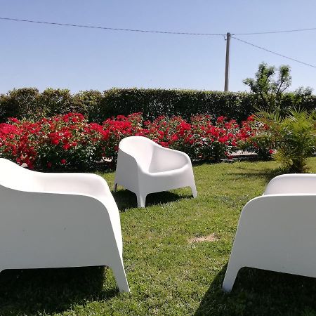 Casa Vacanze Angelica Ostra Vetere Exterior foto